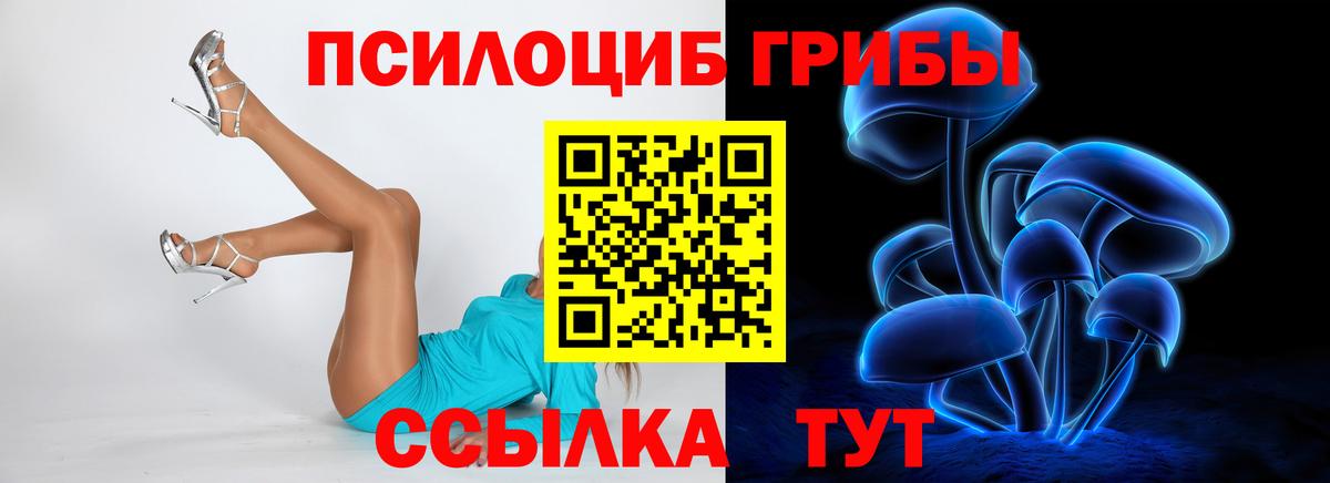 Псилоцибиновые грибы прущие грибы  Вход с VPN  дарнет шоп  Ирбит  Псилоцибиновые грибы MAGIC MUSHROOMS 